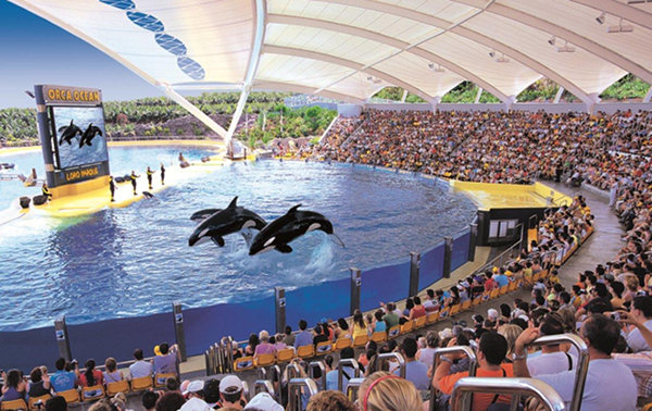 Las Orcas del Loro Parque.